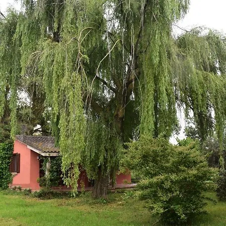 Oasi Di San Martino